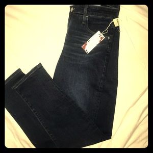 Anthropologie Denim High Rise Stevie Ankle Size 30